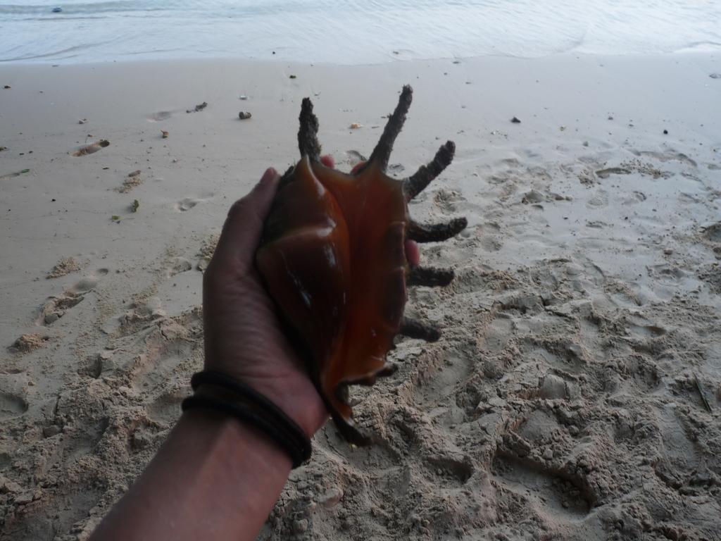 Hanifaru Stay Kendhoo Esterno foto